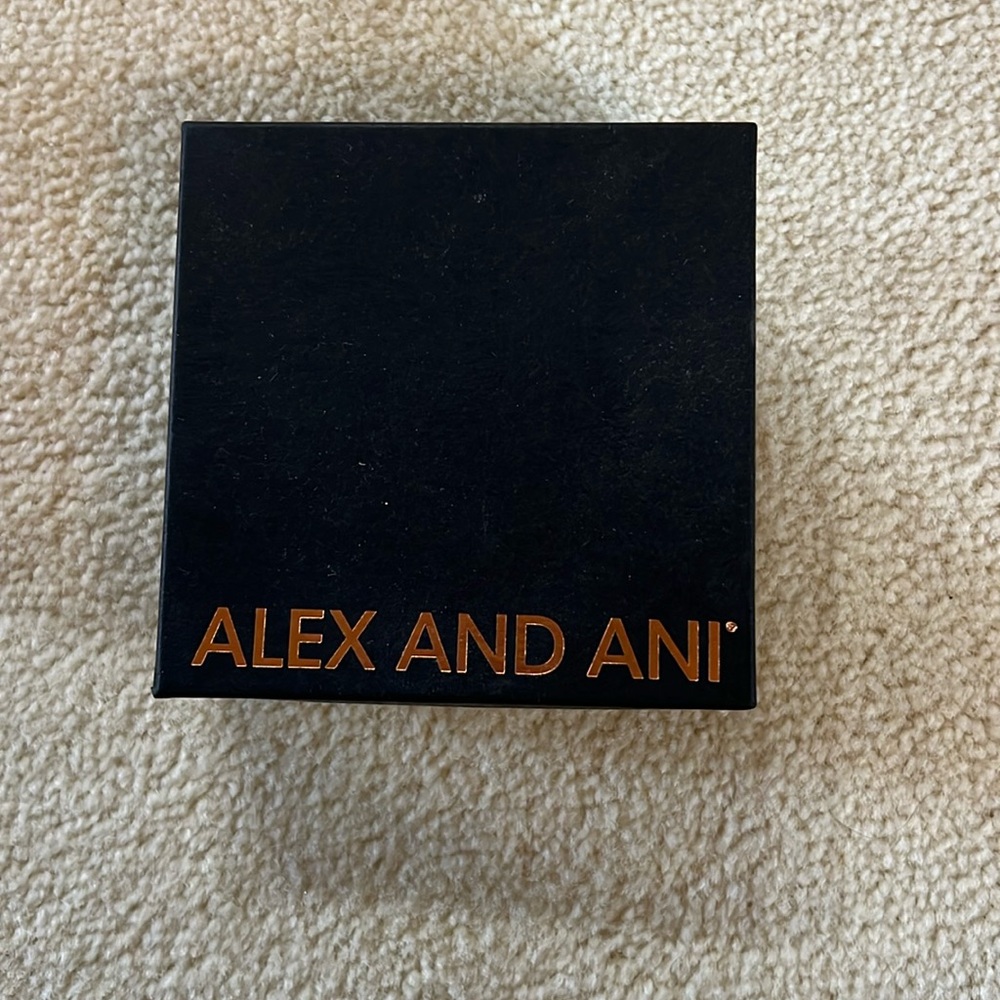 Alex and Ani bracelet
